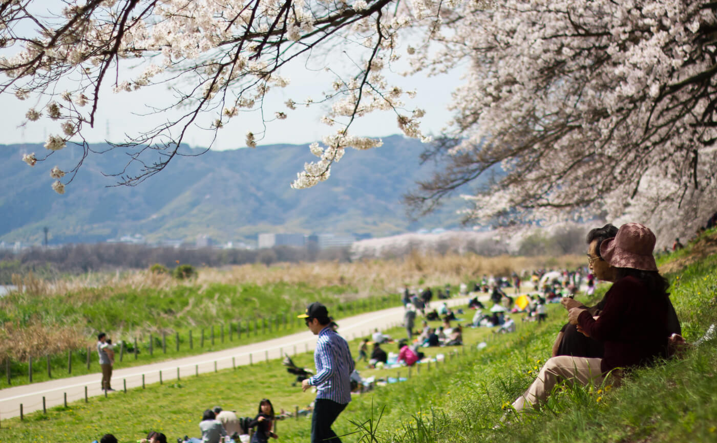 Hanami