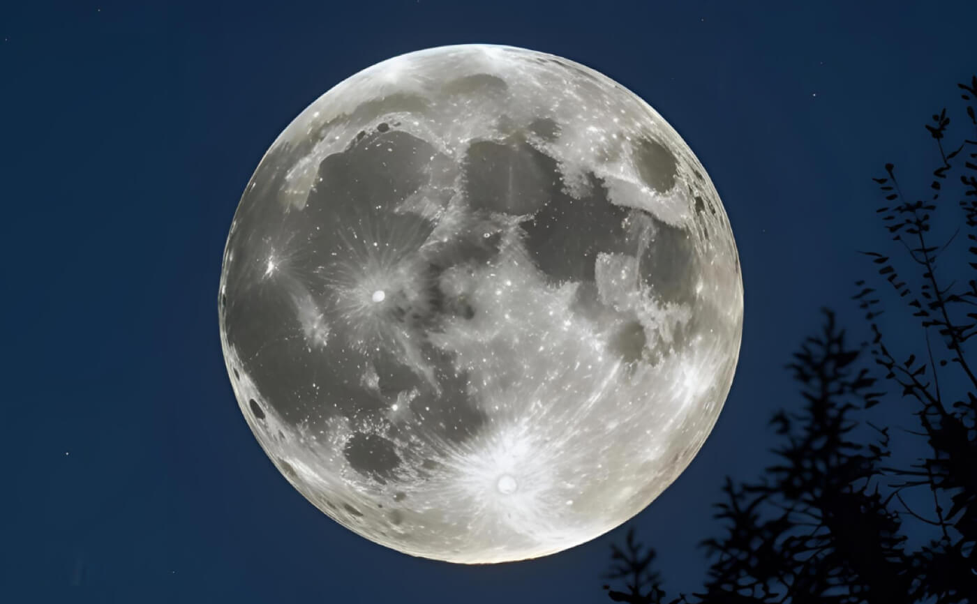 Moonlit Night