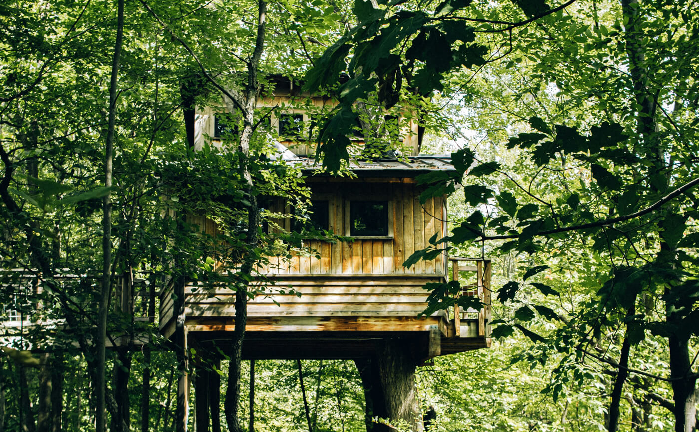 Treehouse