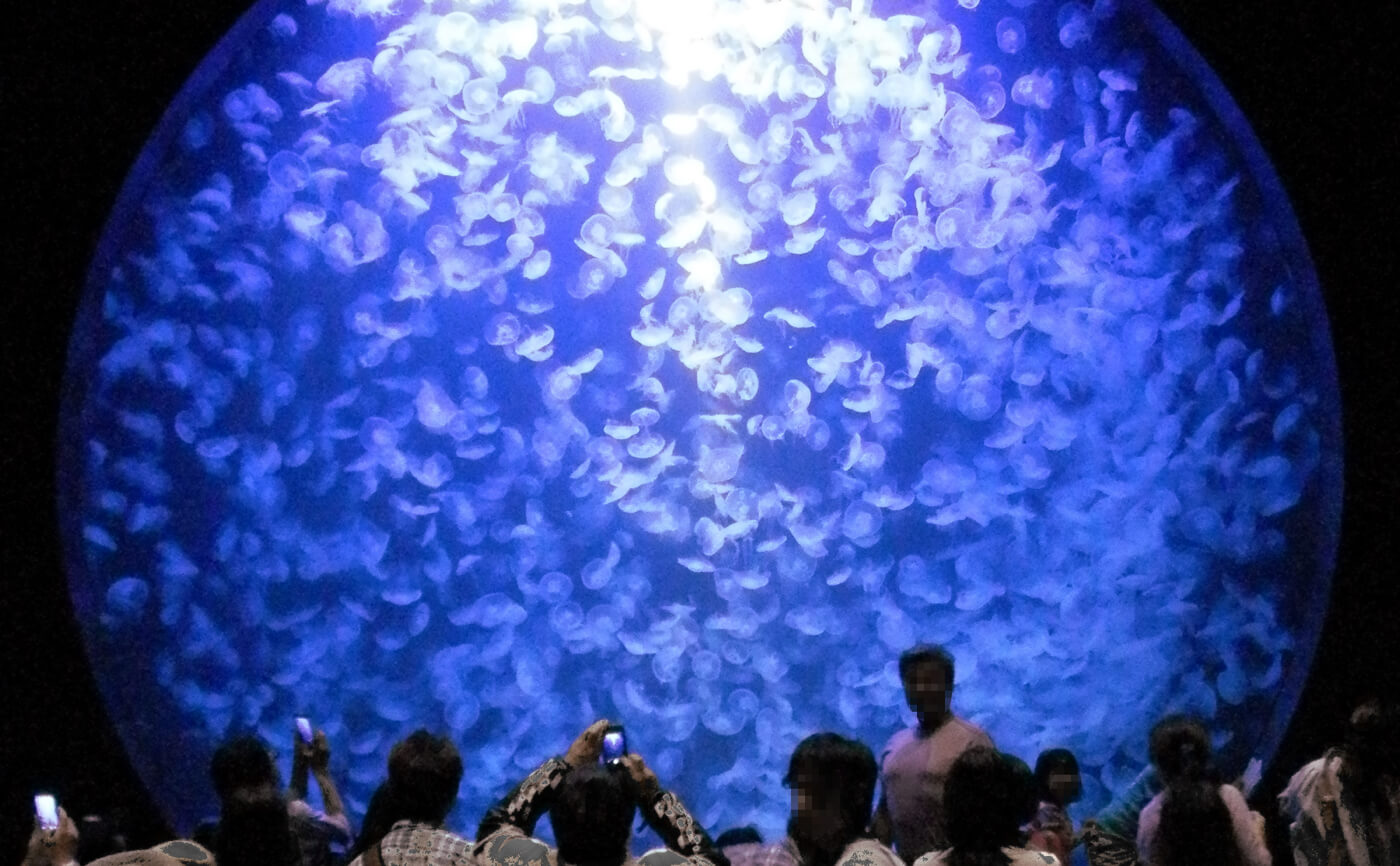 Kamo Aquarium