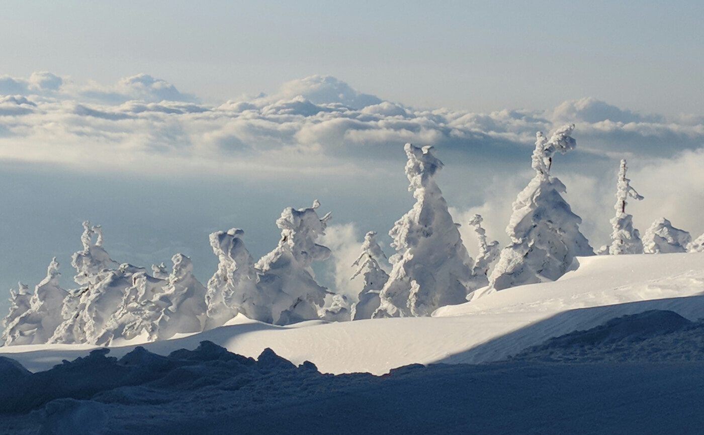 Ice Monsters