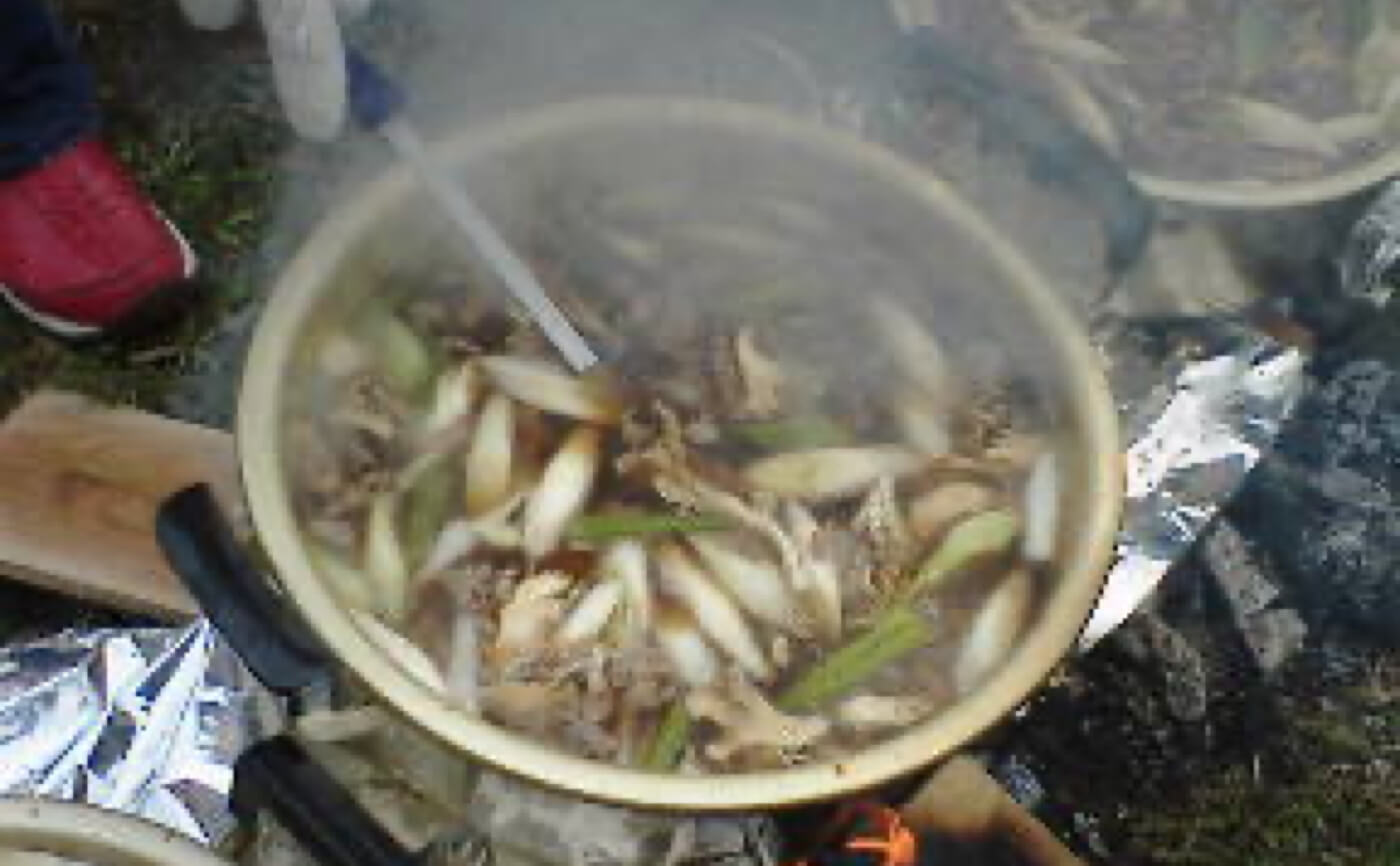 Imoni