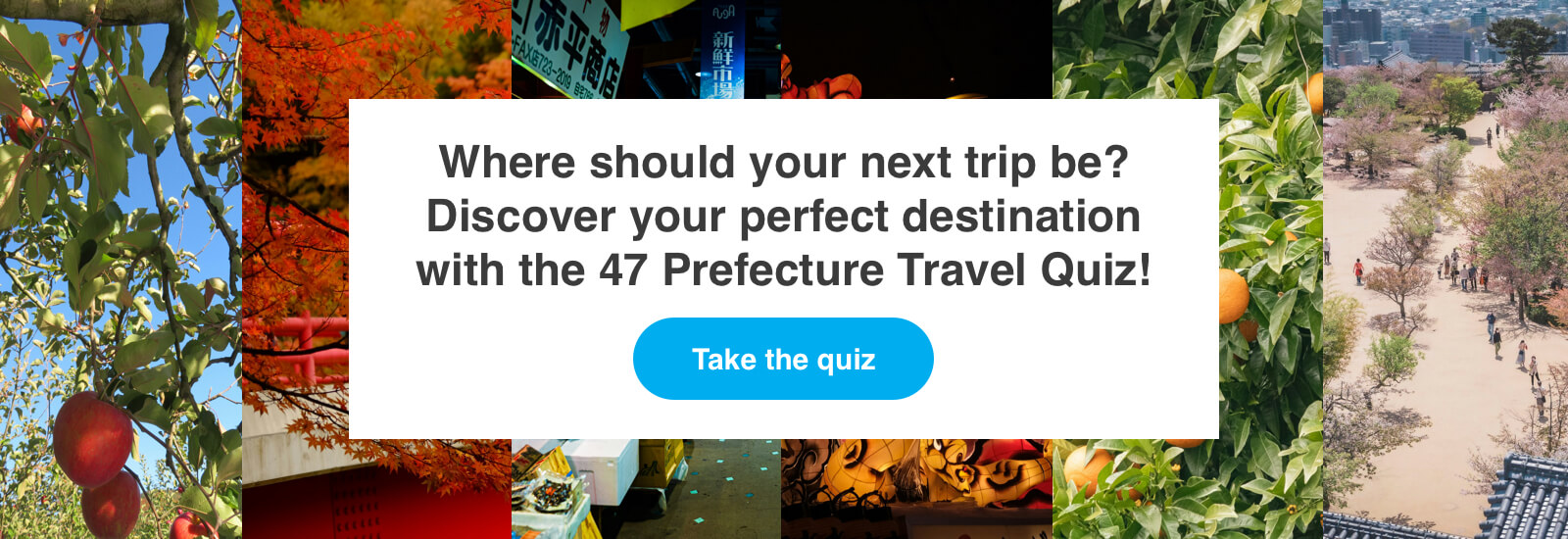 quiz
